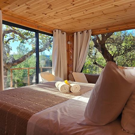 Bed and Breakfast Caban'Ao à Saint-Just-et-Vacquières Extérieur photo